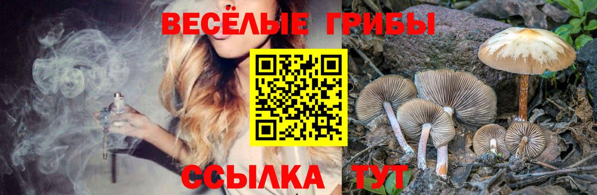 Псилоцибиновые грибы мухоморы Большой Камень